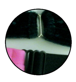 colore fibbie pole bandurska italia